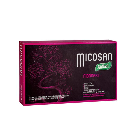 MICOXAN FIBROART 19 G Santiveri