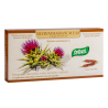 SILYBUM MARIANUM ESP 60 ml Santiveri