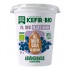 Kefir Almendra Arandanos Bio 400g NaturGreen | Dietisur