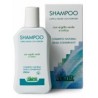 Champú con romero y ortiga para cabello graso bio 250ml Argital | D...