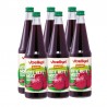 ZUMO REMOLACHA LACTOFERMENTADO BIO 700ml
