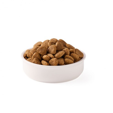 Pienso vegano para perros adultos s/gluten bio 2kg Yarrah | Dietisur