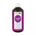 Silicio Collagen plus 500ml Vitasil | Dietisur