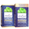 ESTADO PURO GINKGO 80 caps