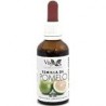 EXTRACTO DE SEMILLA DE POMELO 50 ml