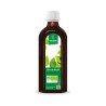 ZUMO DE ABEDUL 200 ml