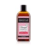 CHAMPU EPIGENETICO CABELLO GRASO 250 ml