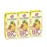 Zumo Multi Sunrise (multifrutas) Bio 3x200ml Hollinger | Dietisur
