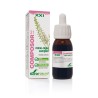 COMPOSOR 31 MENOREGUL COMPLEX 50 ml XXI