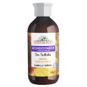 ACONDICIONADOR SIN SULFATOS 300 ml