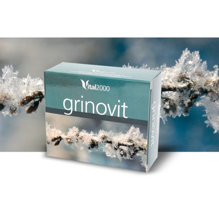 GRINOVIT 60 Comp