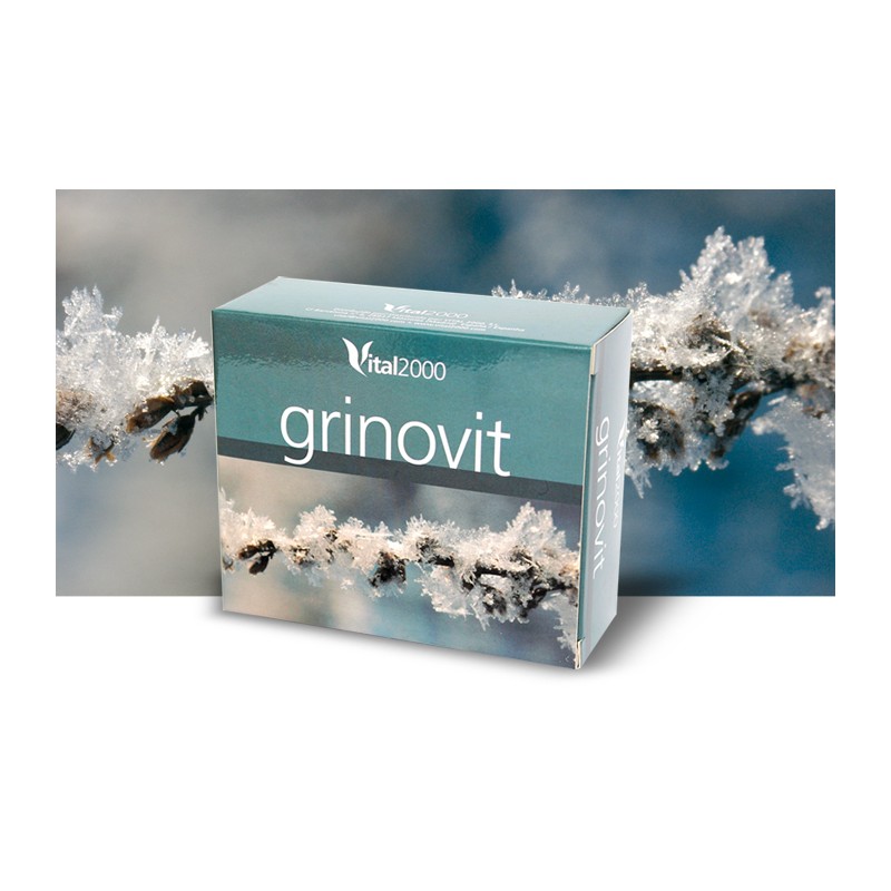 GRINOVIT 60 Comp