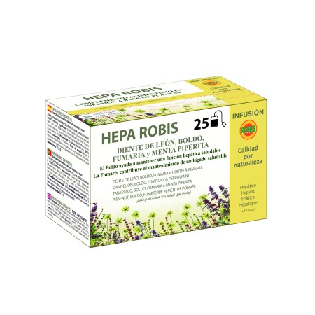 HEPA ROBIS 20 Bolsita Filtros