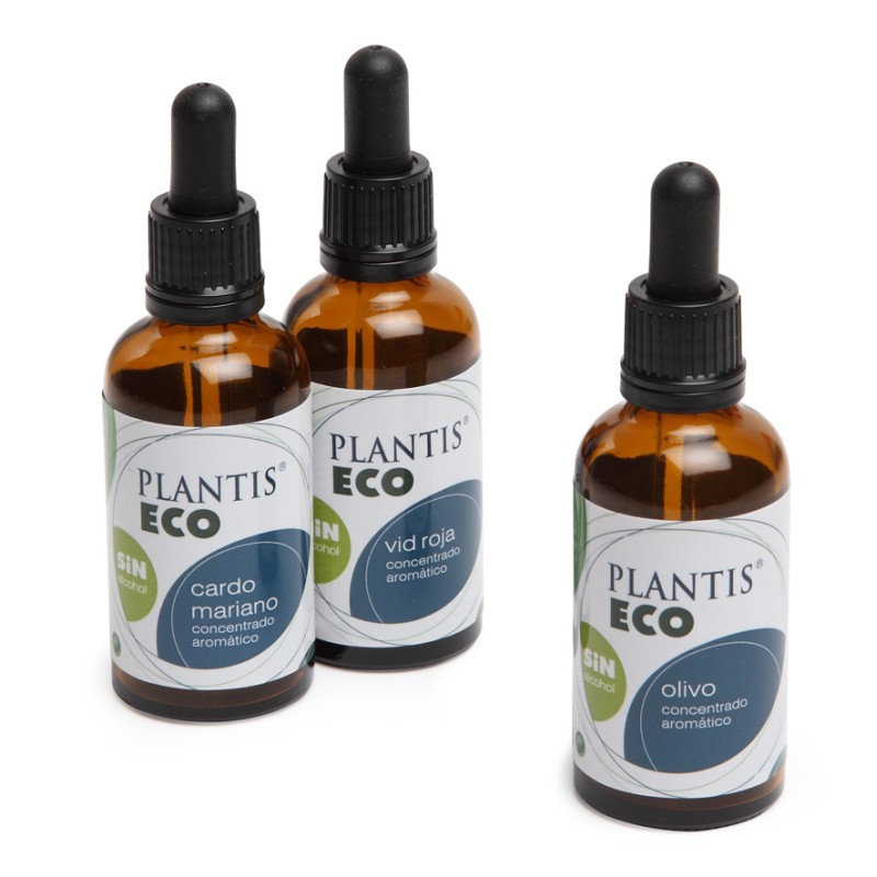 GINKGO 50 ml S/ ALCOLHOL
