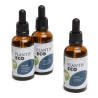 GINKGO 50 ml S/ ALCOLHOL