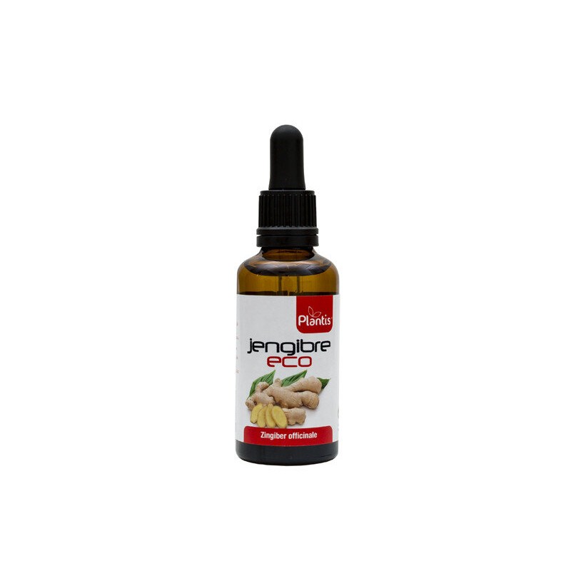EXTRACTO JENGIBRE ECO 50 ml