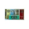 GINKGO BILOBA  25 filtros