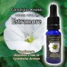 ESTRAMONIO LUZ 30 ml