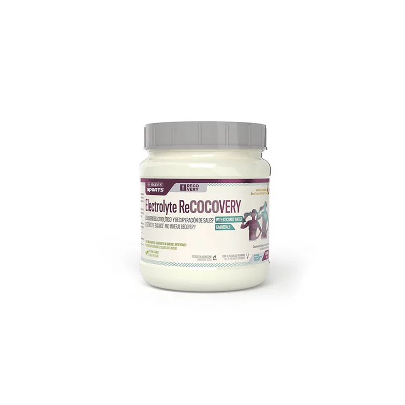 ELECTROLYTE RECOCOVERY BOTE SPORTS 450 GR