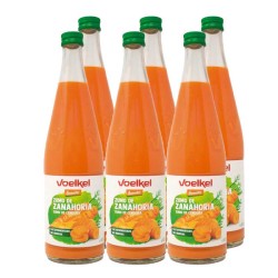 ZUMO ZANAHORIA LACTOFERMENTADO BIO 700ml