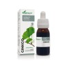 EXTRACTO GINKGO BILOBA S XXI 50 ml