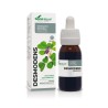 EXTRACTO DESMODENS S XXI 50 ml