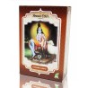 RADHE SHYAM HENNA POLVO CASTAÑO MEDIO