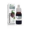 EXTRACTO ALCACHOFA S XXI 50 ml