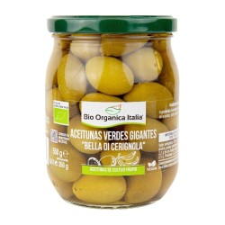 ACEITUNA VERDE GIGANTE BIO ORGANICA ITALIA 550G