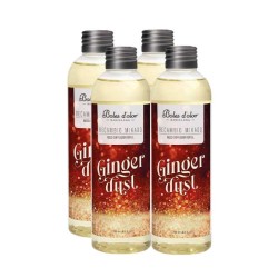 Recambio Mikado Ginger Dust 4x200ml Boles d'olor