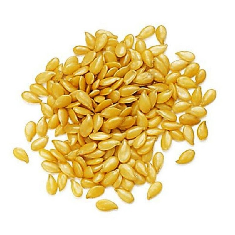 Lino Dorado 500gr PiNISAN