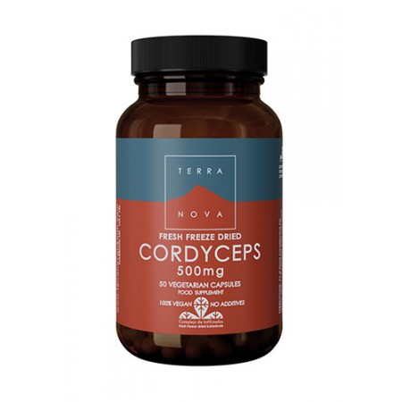 CORDICEPS 500 mg (CORDYCEPS SINENSIS)  50 Vcaps