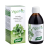 JARABE VIGOR-PEC Santiveri 240 C