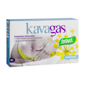 KAVAGAS CAPSULAS Santiveri 16 G