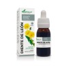 EXTRACTO DIENTE LEON  S XXI  50 ml