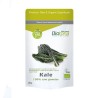 Kale polvo superfoods bio 120g Biotona | Dietisur