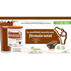 ARTICAO 300GR PINISAN