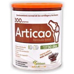 ARTICAO 300GR PINISAN