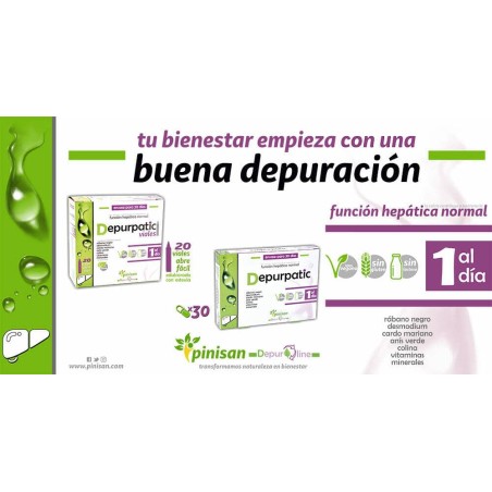 DEPURPATIC 1 AL DIA 20 VIALES PINISAN