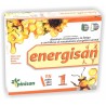 ENERGISAN 15 viales