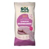 TORTAS DE ARROZ YOGUR Y ARANDANO BIO 100 g