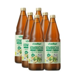 KOMBUCHA LIMA Y JENGIBRE BIO 750ml