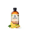 KOMBUCHA SABOR JENGIBRE Y LIMON BIO 400 ml