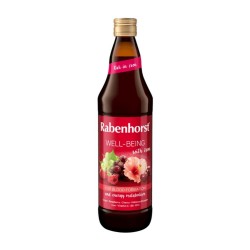 Zumo Well-being con Hierro 750ml Rabenhorst