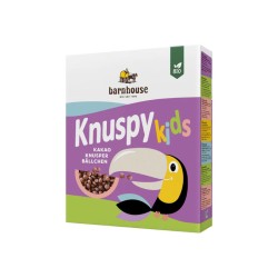 ARROZ HINCHAD KNUSPY KIDS BARNHOUSE 250G