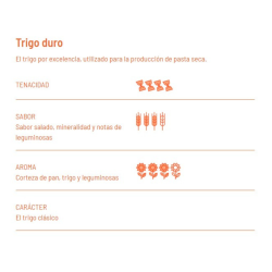 Fusilli de trigo Bio 500g Girolomoni