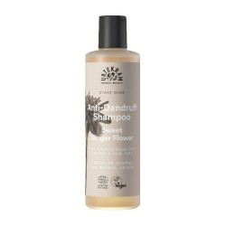 Champu Sweet Ginger Anticaspa bio 250ml Urtekram | Dietisur