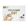 MICO NEO GST 60 caps