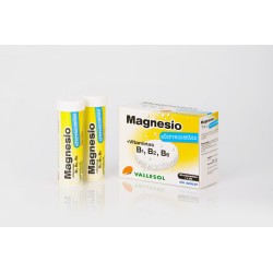 MAGNESIO VIT B1 B2 B6 EFERVESCENTE 24 comp