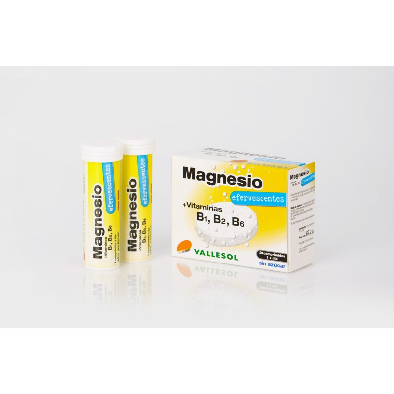 MAGNESIO VIT B1 B2 B6 EFERVESCENTE 24 comp